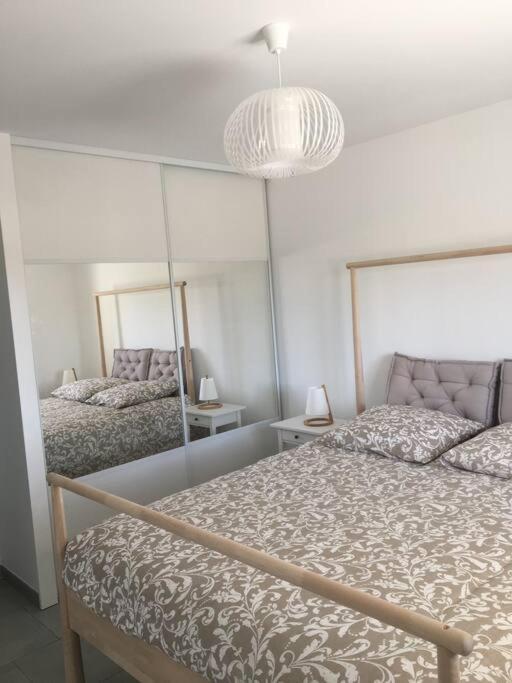 Gite Lumineux Et Confortable Dans Un Mas Provencal Courthézon Extérieur photo